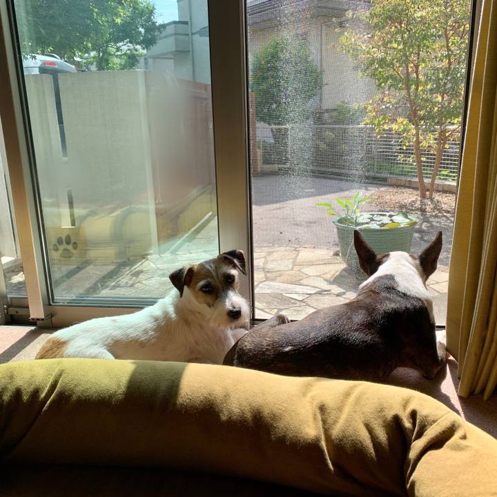 42991ac1 fb5e 48f2 956d 319817949674 1602044452194