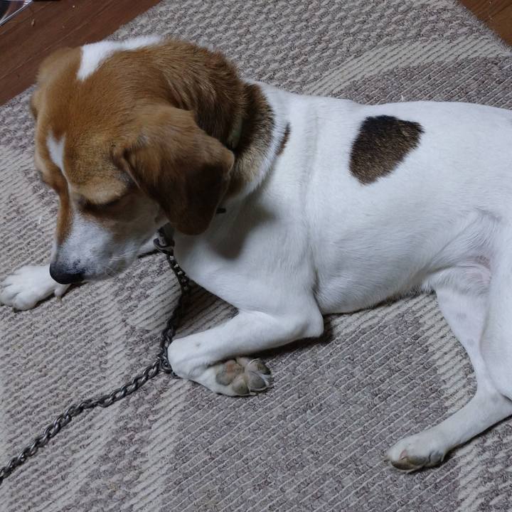 4299665f eab7 4827 a037 61f3d3edc0e9 1607606580072