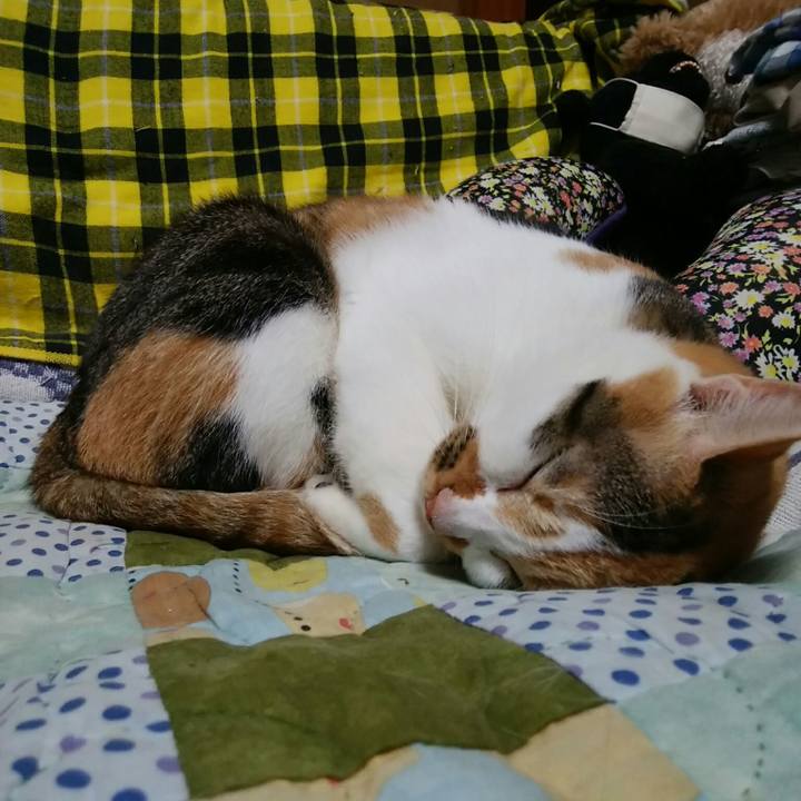 429971dc fe3a 4f24 a316 54a770bf1df9 1539514816636