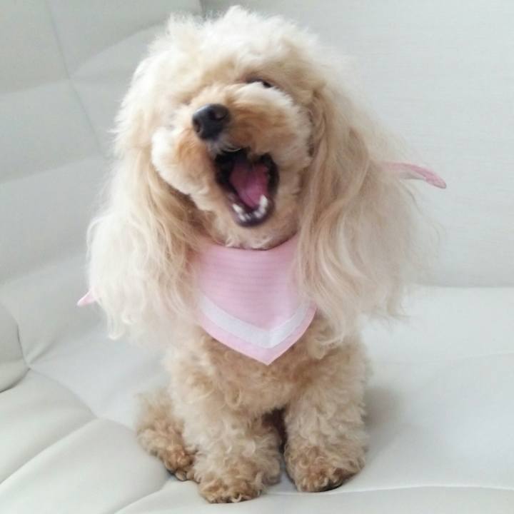 42997f33 6e1e 43d9 b132 f918ea5d7aef 1532067620926