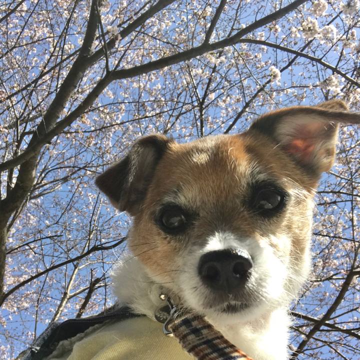 42998dc4 26b2 4987 bea7 8b4a96bfe9f9 1584755357669