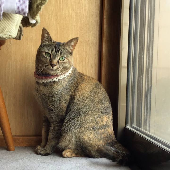 42998e43 a712 4898 8249 38926d37bca9 1620714860899