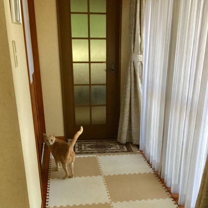 4299ba0c 2f95 45de 9d8e c9a5ce395057 1589411209945