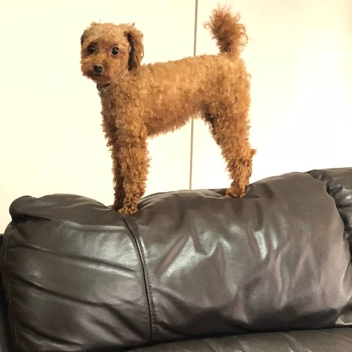 4299e75a 444d 47ed bdcd d91664f7e49f 1533945064414