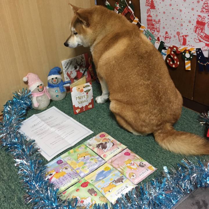 4299fb5f d78a 48d0 a95e 1e0d3edf0b78 1639657517490