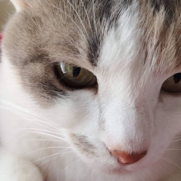 429a177f 9a92 4df4 9909 87a3b0f0326e 1618324829149