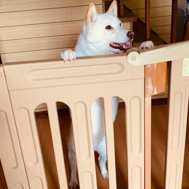 429a38ed 208d 4df4 97cf 3a075a0c0a41 1568612365740