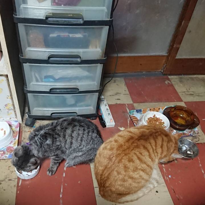 429a6c0d e872 404d a8e3 661f8e94bbfe 1583049641316