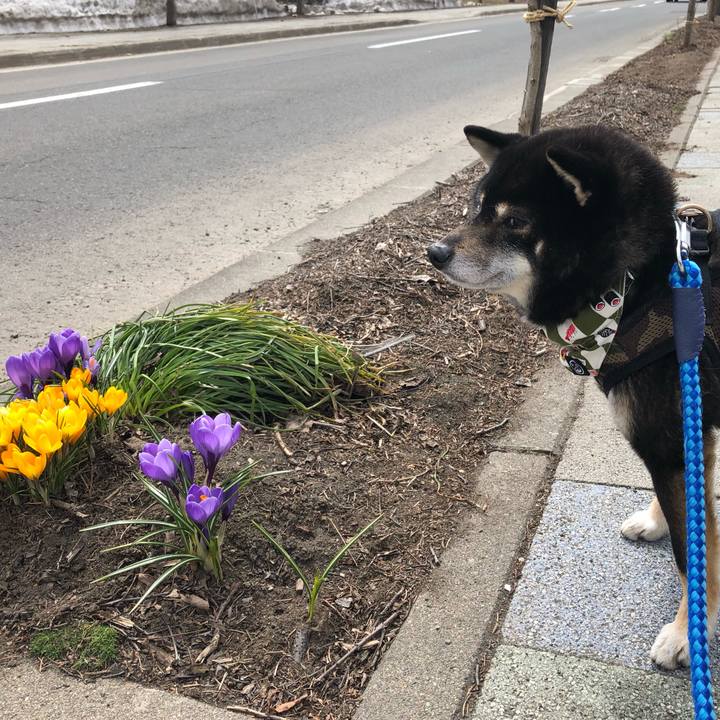 429a85f6 7df3 46fb 8672 189ad4160f0e 1554786320701