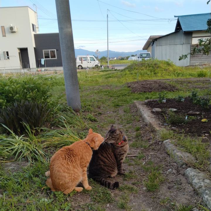 429b2c77 5b98 4b7e 86e9 e1ed4fc72a2d 1685872904072