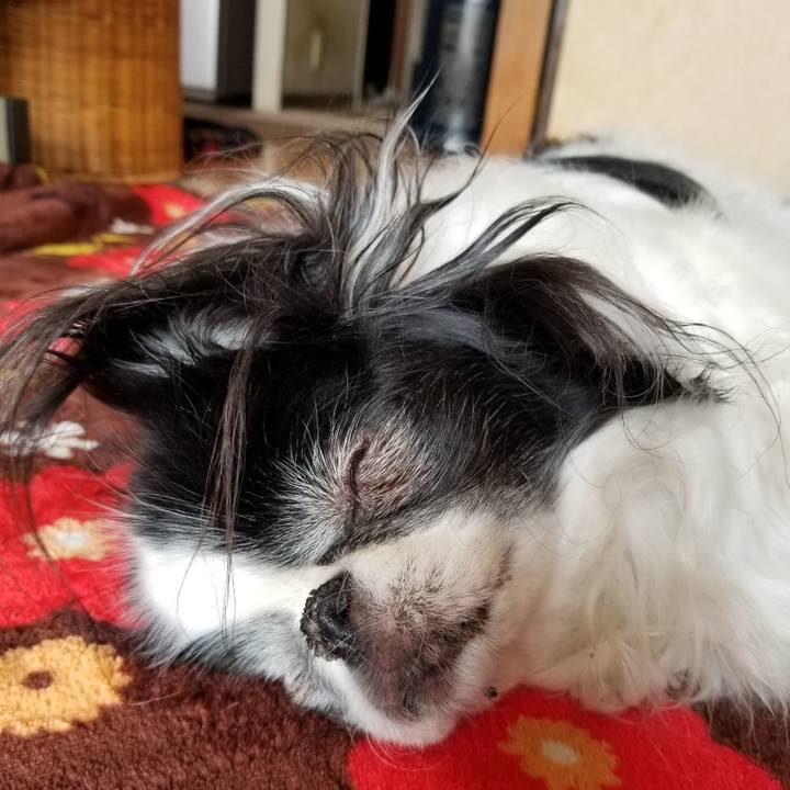 429b556d 3bed 4bd8 98a8 c20a49b892fb 1552737574861