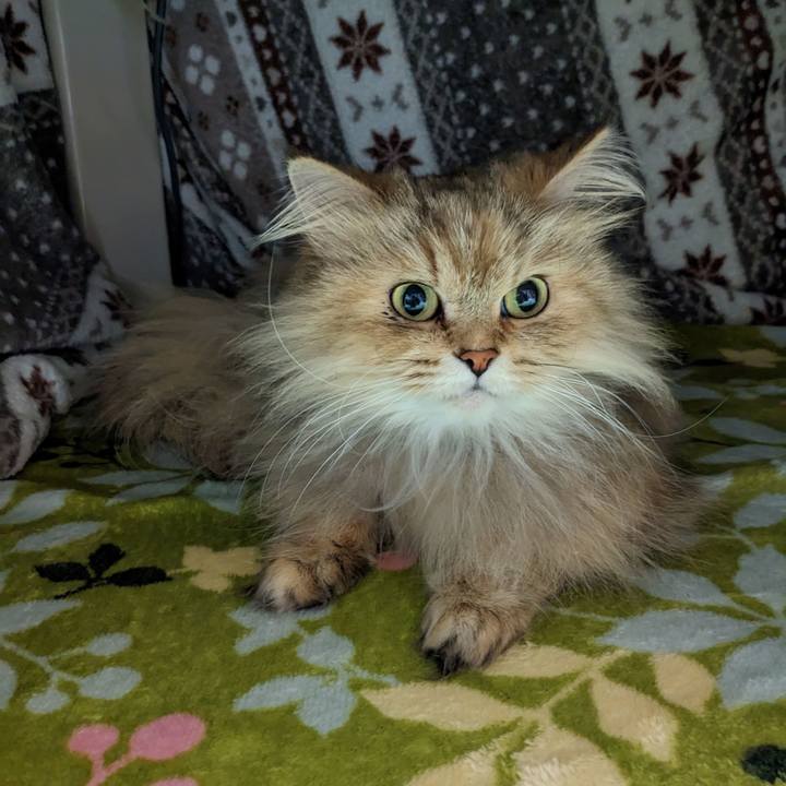 429b6ffd 7bae 4c22 a018 178871abc982 1680479177633