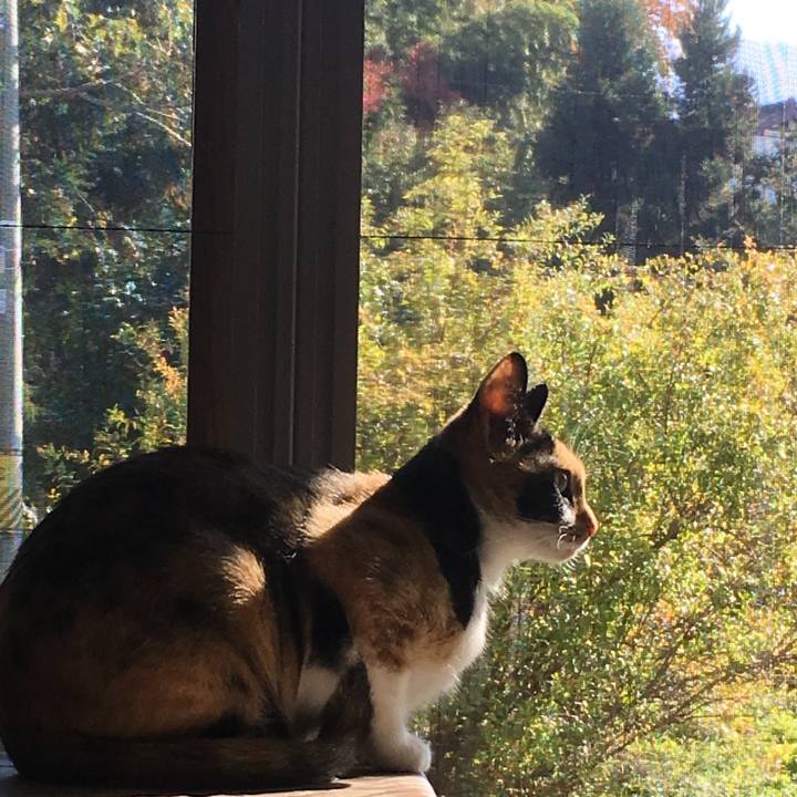 429bbb2c 90e4 4404 b9dd 1af7fad7731c 1509681277320