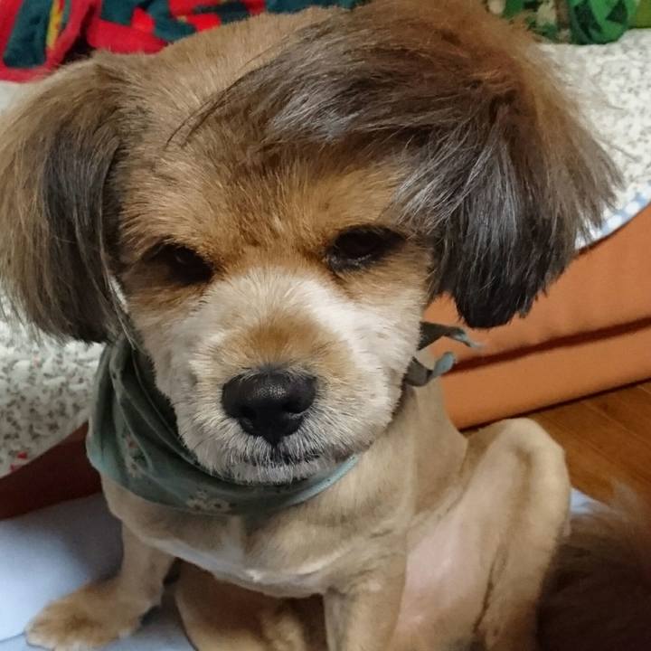 429bdcc0 974b 4bcb a068 13ede902cbfc 1534160227810