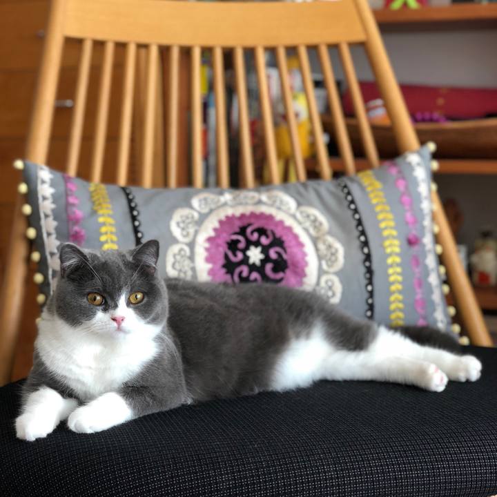 429c1e1a cbc8 42b9 99fe b20a77c0f10e 1523675678027