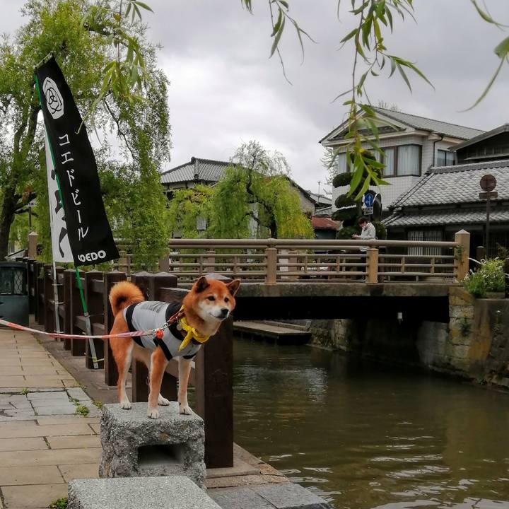 429c2ae1 bfb5 44d6 84b9 37e7a0127b68 1617708058101