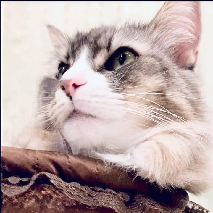 429c3543 2ee4 495e 9477 f19a0cc0712d 1697474947207