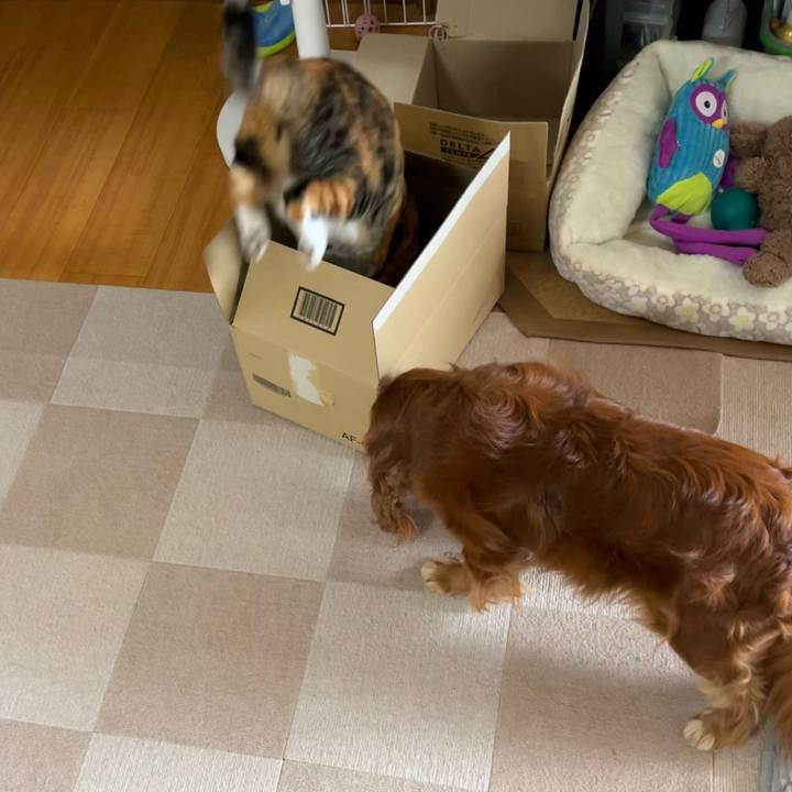 429c501d e51a 495c 9973 7121b59a89a6 1696149359206