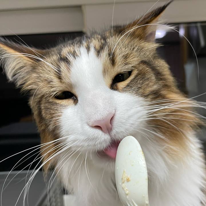 429c631f 8bbb 4a43 bdeb b0bbbd5e44dd 1665520291825