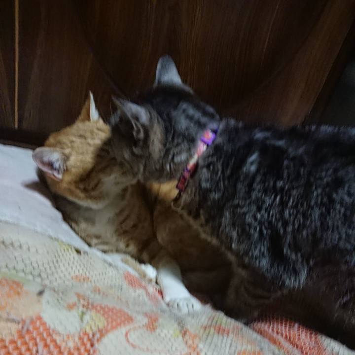 429c6bb9 b941 4e83 a298 0454e1d1cd23 1584014926893