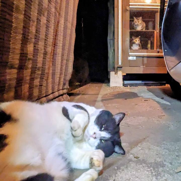 429c9e48 e5d6 4a05 b0b6 18309c7eed9f 1761882819224