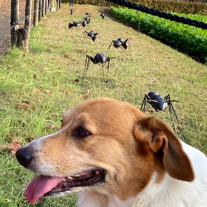 429ca3d0 0fa8 4287 8ab3 92f93472d72b 1763900247773