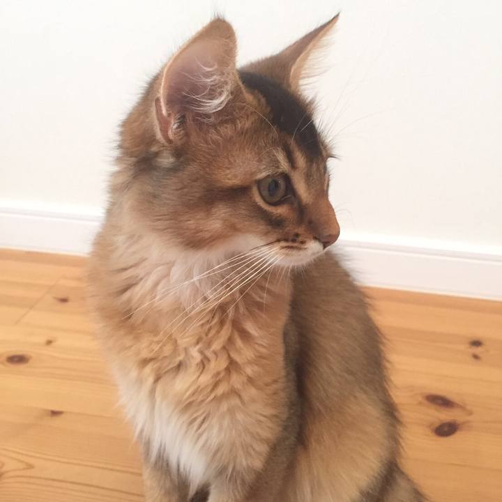 429cdbb4 20db 4c62 9481 fc3bc72d7ba7 1571370030954