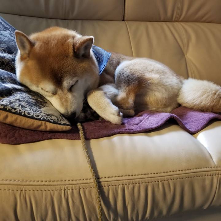 429ce450 a995 4d1a a6f2 c73aa2768ed9 1559865825272