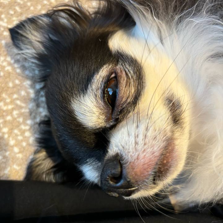 429cebe9 9358 4bbe aba4 b75f96fe1996 1723996309474