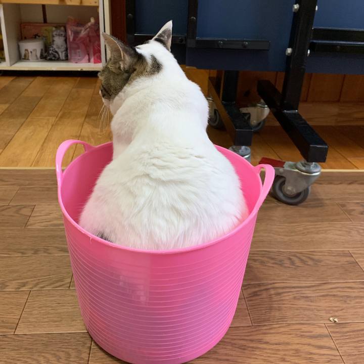 429d12b6 e6b9 462b 8f01 2765f087f542 1568730774582