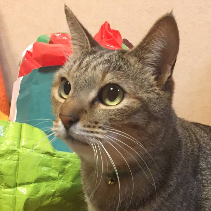 429d6075 fb81 4575 a1f3 c0704272810e 1514735288702