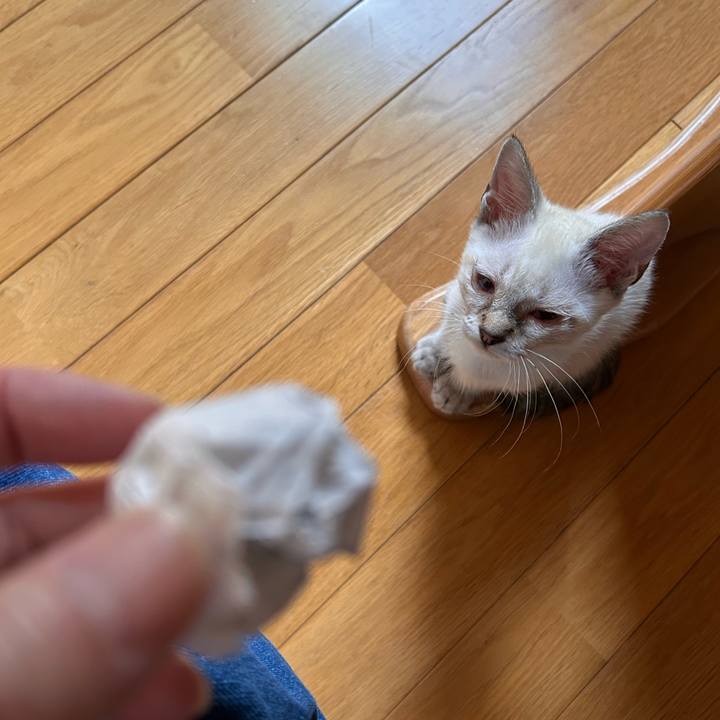 429d7a4c ef53 401a 83c4 c945042cf5e6 1722047134392