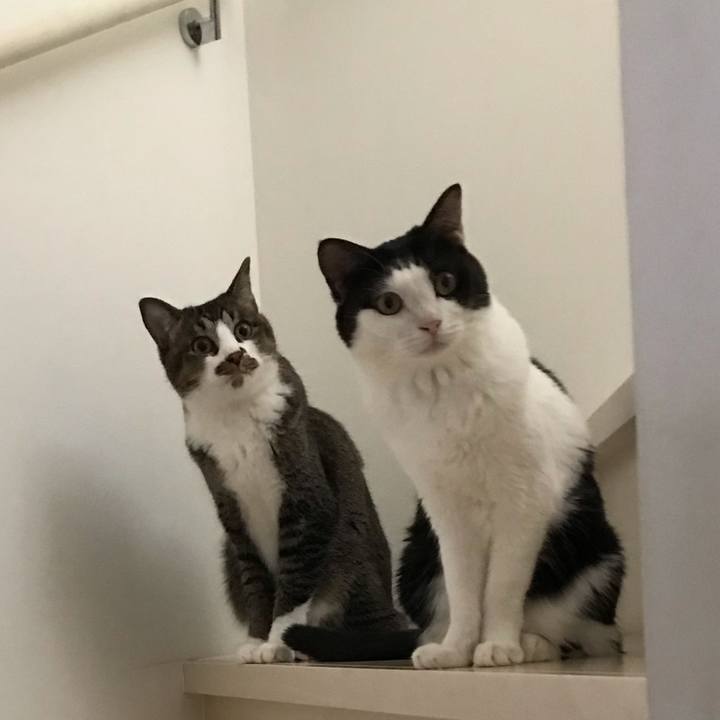 429d7b7b ba1d 4c40 8b0e 1e1967d9156a 1561168178969