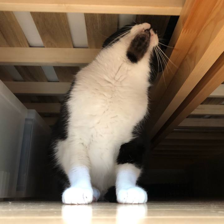 429d8353 e853 4b85 b157 25c0ed1d5bc1 1636185943119