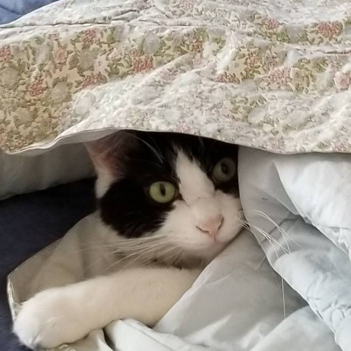 429dc684 9ddb 492c b5b1 8f22beb33a70 1582553392272