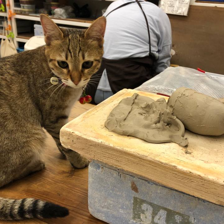 429dd883 4f1d 4abc a5a6 1eccdd70f297 1591360170260