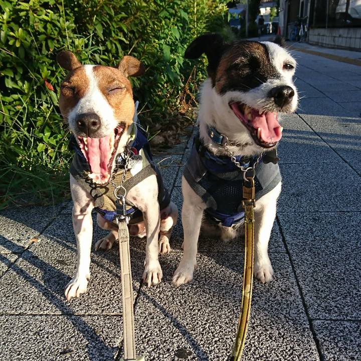 429ded3f e200 4464 a97b 9d0063401170 1598476360655