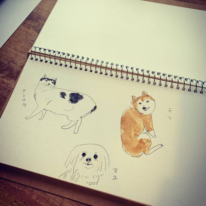 429e1608 cbab 4afb b802 efbfc250efd7 1604363121700