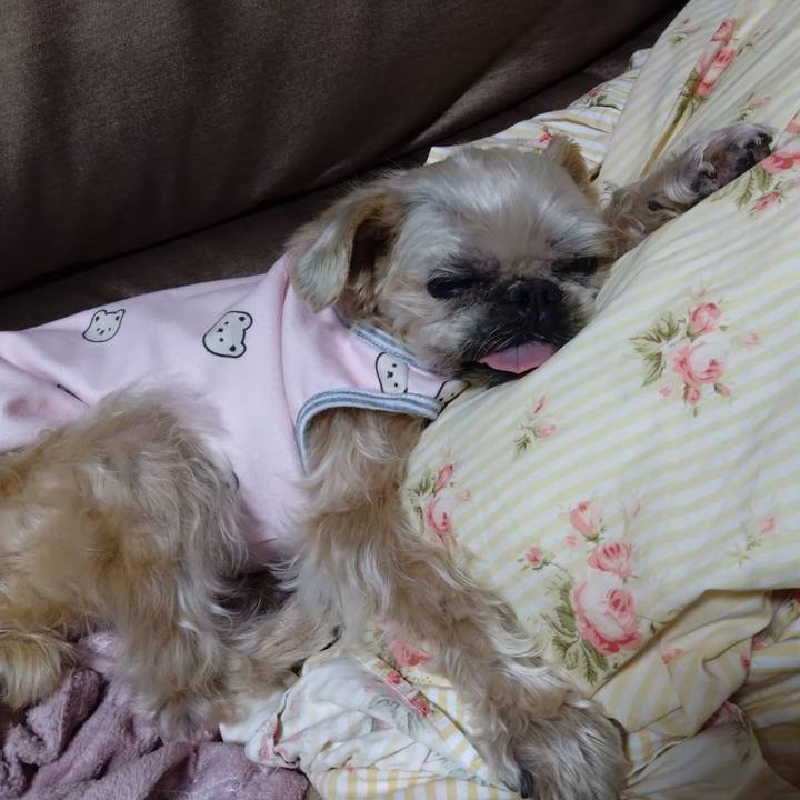 429e9103 132f 4804 abc3 98999c78261c 1737209553590