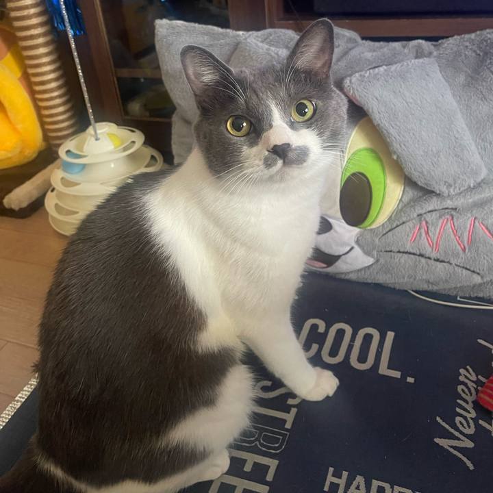 429ef200 e11e 4dd7 a7f7 eef35b820077 1726355084958