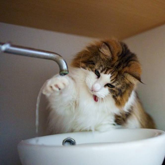 429ef557 e3a3 45cf 8ed9 6d56d80b7765 1759371343774