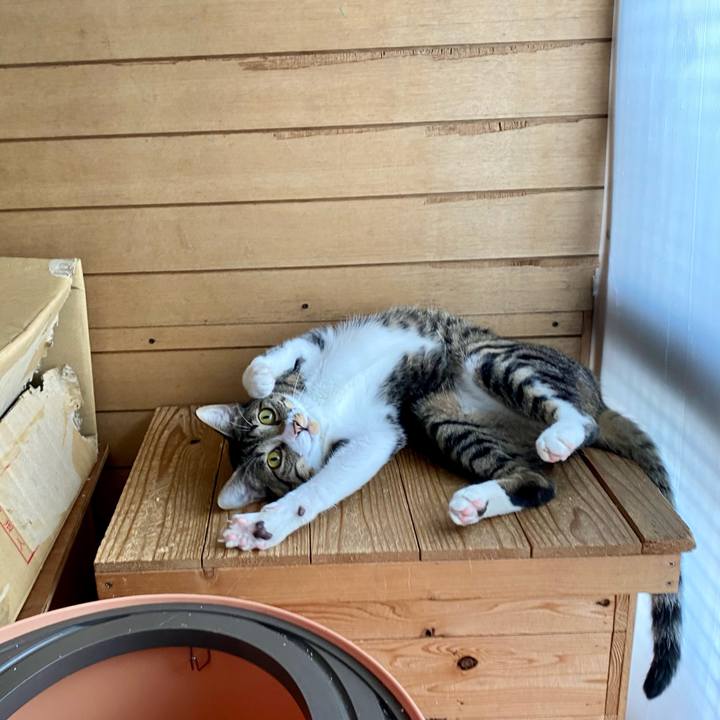 429ef82d 5b4a 4b6a 8d91 0f300531aa64 1654815157681