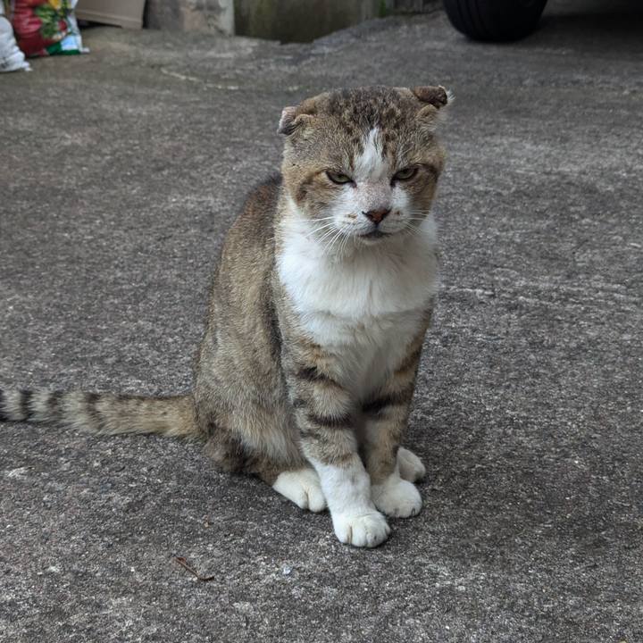 429f2549 9126 48ba 982d 843d90f7f91f 1720145454453