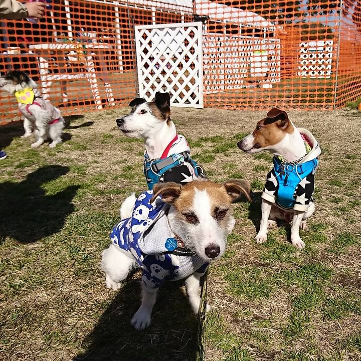 429f31ab 8053 4024 839d 0668ebb4b87d 1549100084119