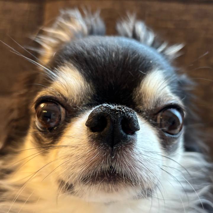 429f540c c017 451d b3f9 ea991567cb9c 1748128505012