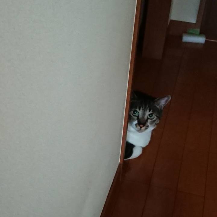 429f8fa0 991c 4859 9d56 3f3381753223 1531957009381