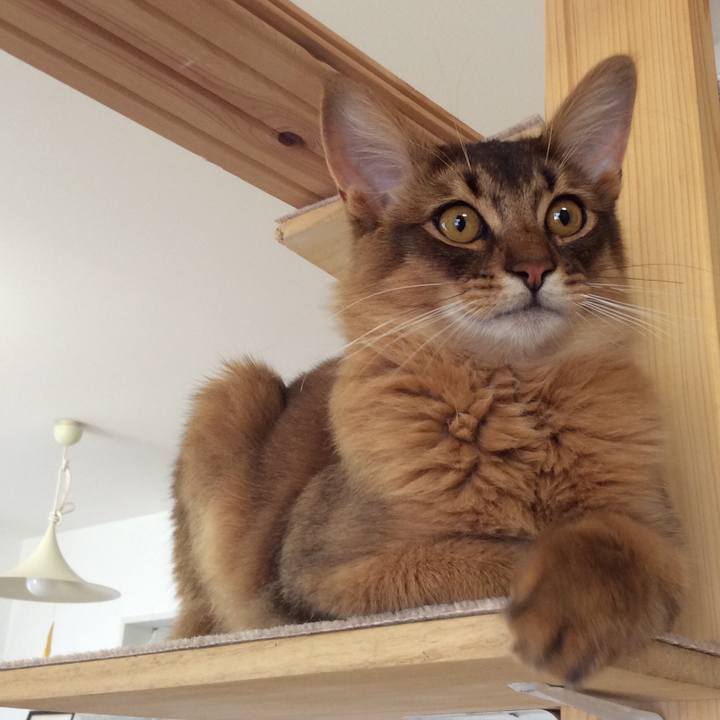 429fa336 63fb 4f22 bca9 354575b2b1ba 1587509135003