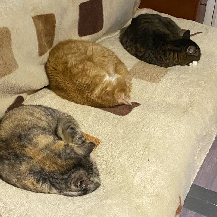 429fa7b3 5428 4e42 a121 04fe58fdfc0a 1676826710447