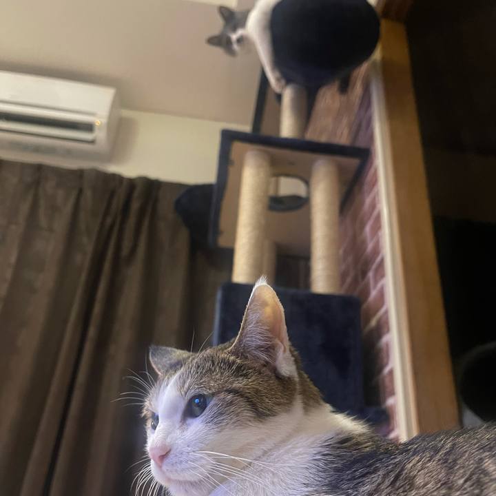 429fbb15 8e2d 461a b9db 0ecd9a177241 1638866187246