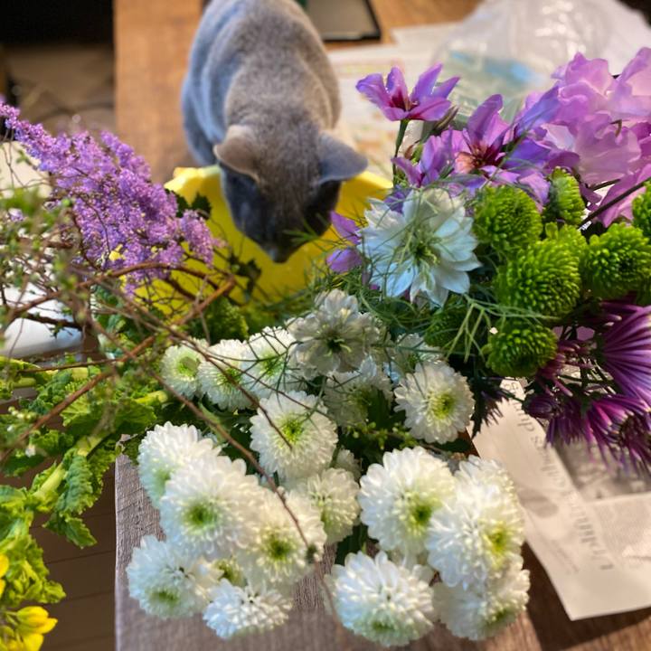 429fcf4b 7538 4d9b 9063 3fa280ffc6e5 1611452123219